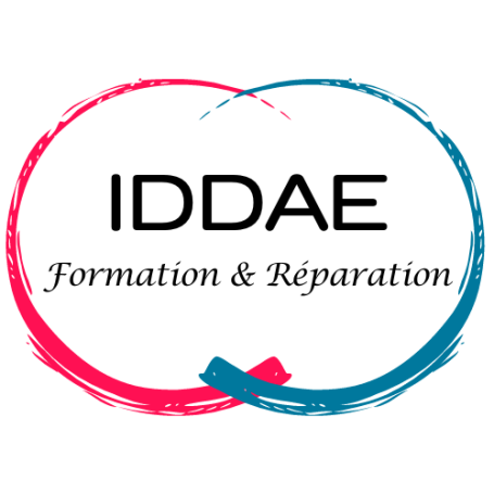 Logo IDDAE